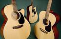Takamine EG220SC